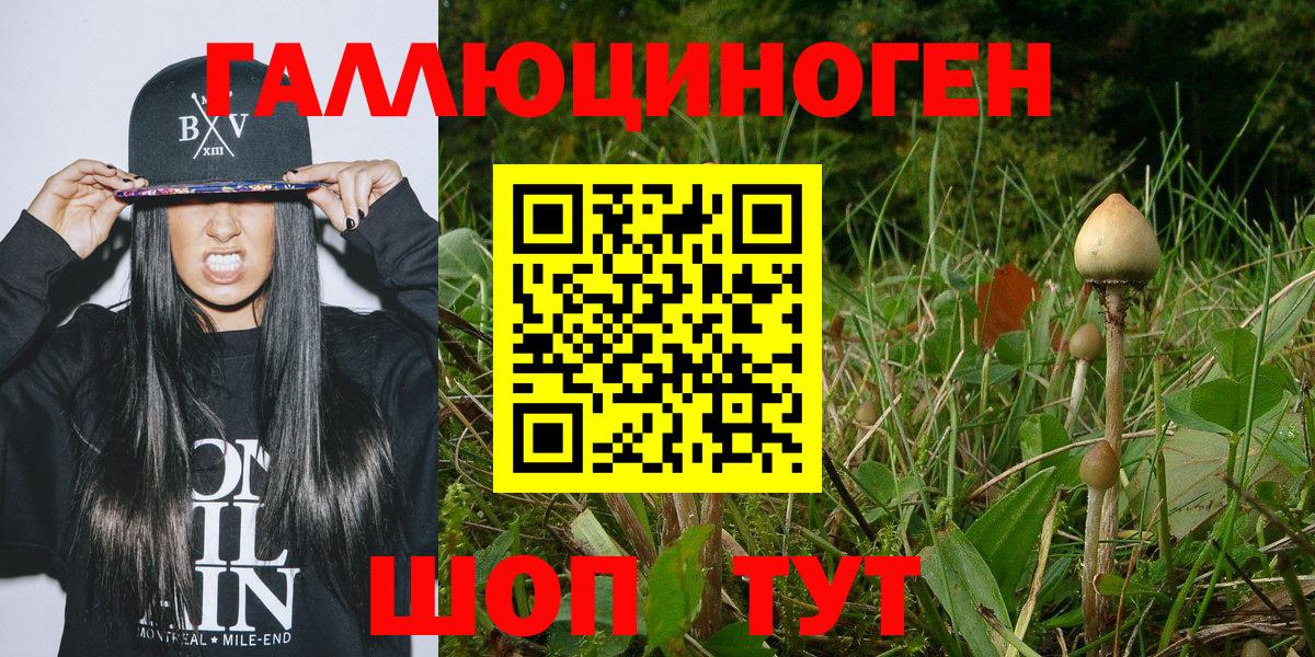 Астрахань  Вход с VPN  Мефедрон  MDMA  Альфа ПВП  ГАШ  Кокаин  Бошки Шишки  Бошки Шишки 