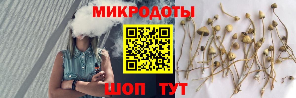 Галлюциногенные грибы мухоморы  Астрахань  Псилоцибиновые грибы ЛСД 