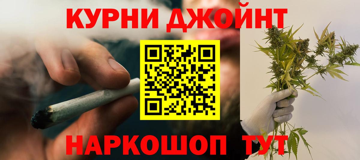 Канабис сатива Астрахань